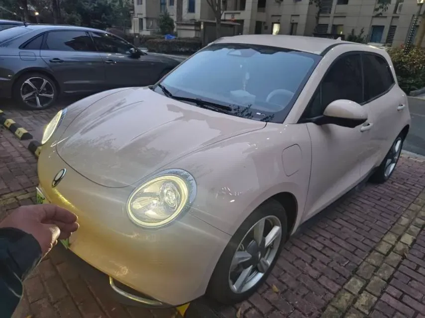 2023 Ora FunkyCat BEV 47.8KWH,autocango,china used car exporter,china ev exporter,chinese used car exporter,chinese used ev exporter