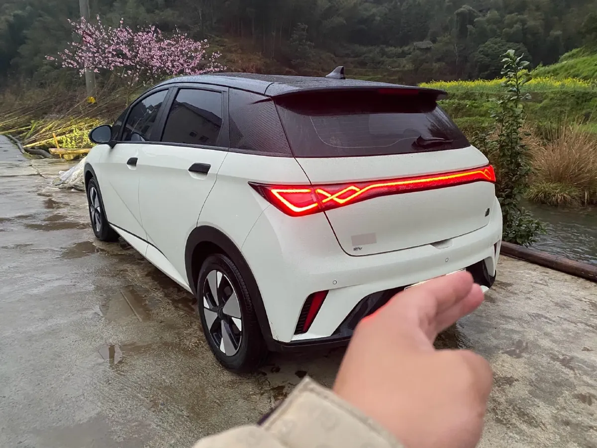 2023 BYD Dolphin BEV 44.928KWH,autocango,china used car exporter,china ev exporter,chinese used car exporter,chinese used ev exporter