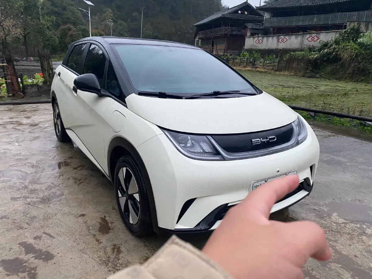 2023 BYD Dolphin BEV 44.928KWH,autocango,china used car exporter,china ev exporter,chinese used car exporter,chinese used ev exporter