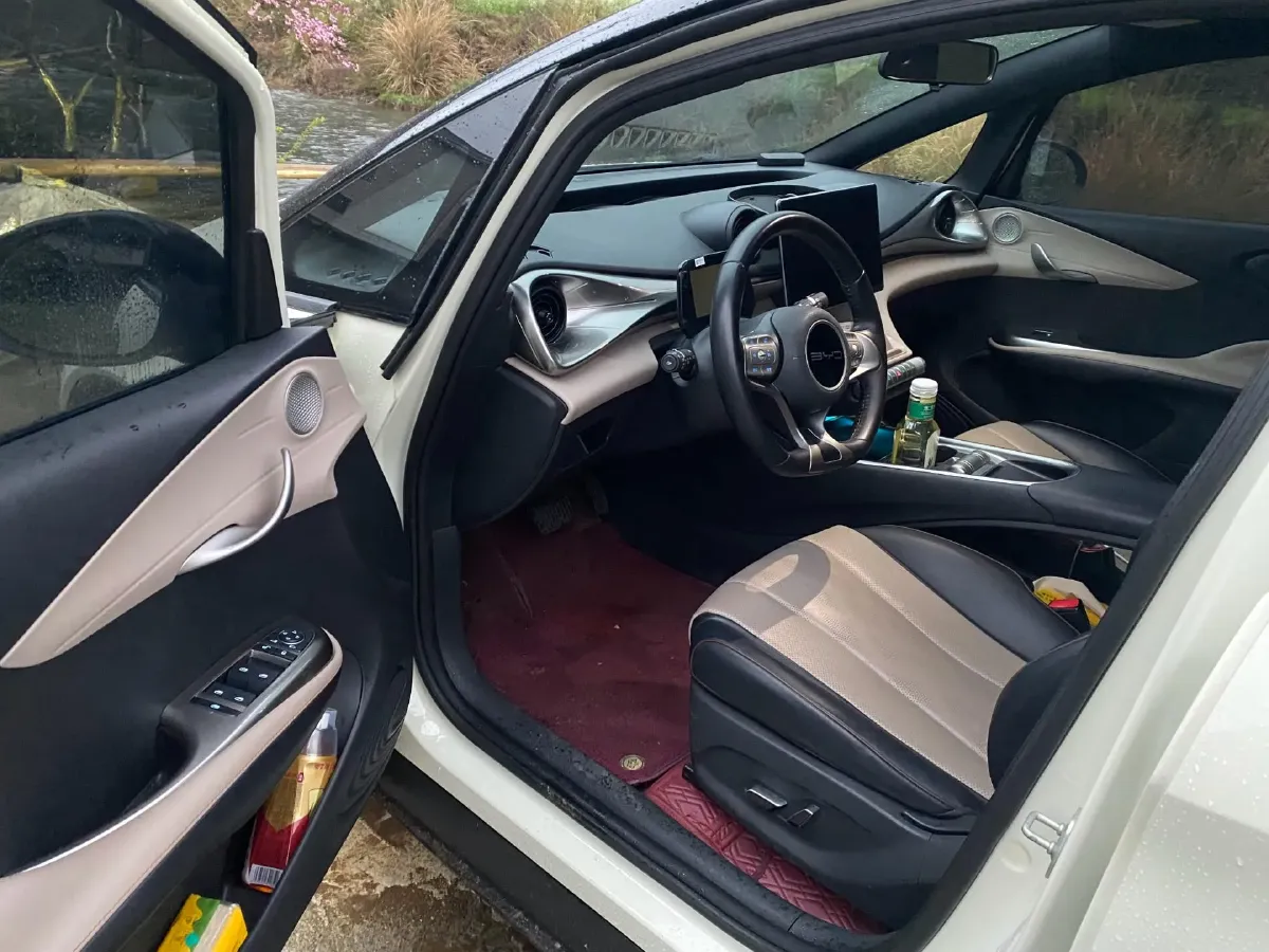 2023 BYD Dolphin BEV 44.928KWH,autocango,china used car exporter,china ev exporter,chinese used car exporter,chinese used ev exporter