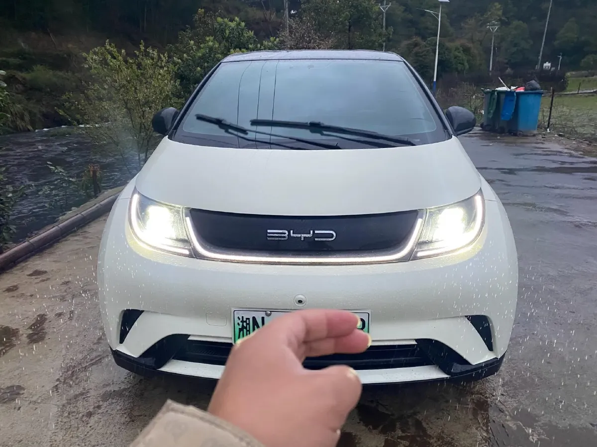 2023 BYD Dolphin BEV 44.928KWH,autocango,china used car exporter,china ev exporter,chinese used car exporter,chinese used ev exporter