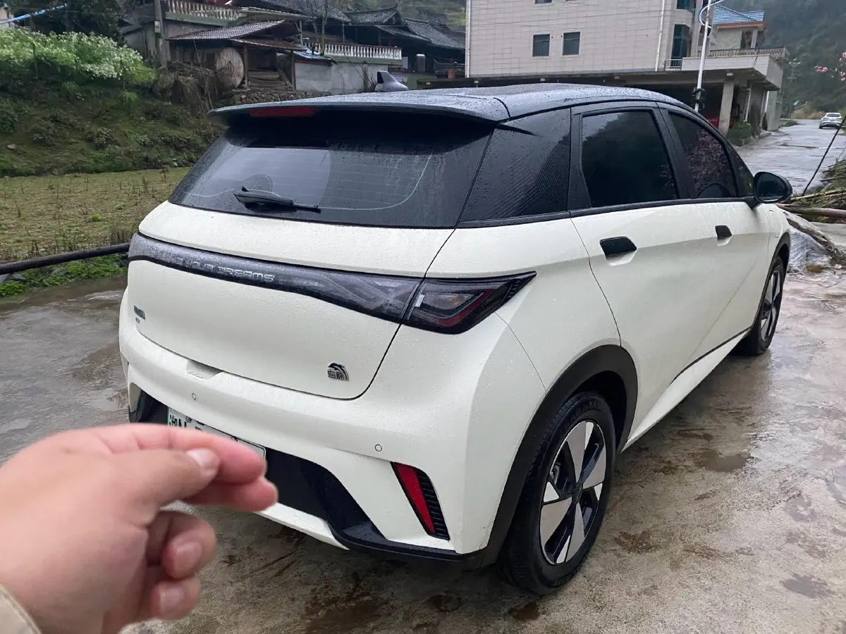 2023 BYD Dolphin BEV 44.928KWH,autocango,china used car exporter,china ev exporter,chinese used car exporter,chinese used ev exporter