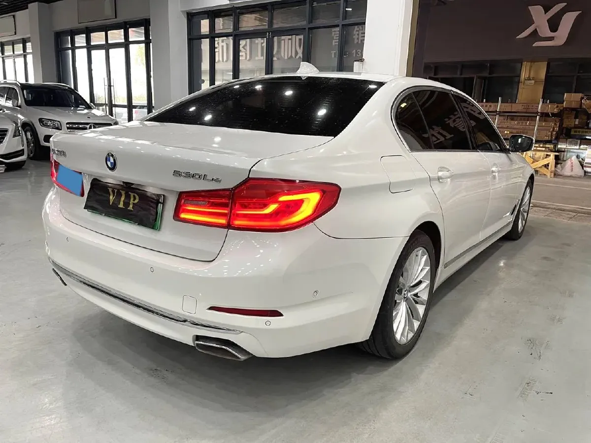 2020 BMW 5 Series 2.0T 184HP L4 8AT PHEV 13KWH,autocango,china used car exporter,china ev exporter,chinese used car exporter,chinese used ev exporter
