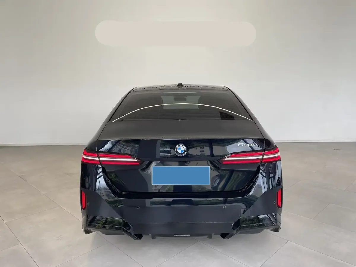 2025 BMW 5 Series 2.0T 258HP L4 8AT,autocango,china used car exporter,china ev exporter,chinese used car exporter,chinese used ev exporter