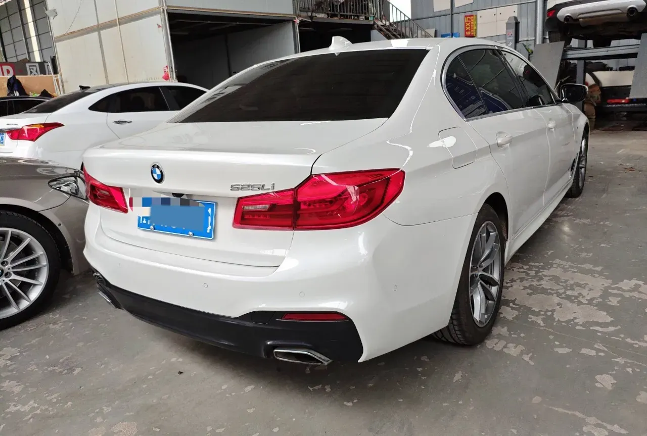 2020 BMW 5 Series 2.0T 184HP L4 8AT,autocango,china used car exporter,china ev exporter,chinese used car exporter,chinese used ev exporter