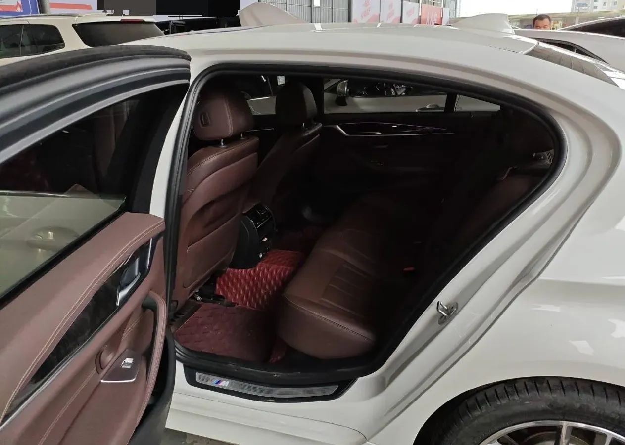 2020 BMW 5 Series 2.0T 184HP L4 8AT,autocango,china used car exporter,china ev exporter,chinese used car exporter,chinese used ev exporter