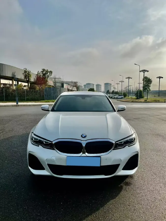 2021 BMW 3 Series 2.0T 156HP L4 8AT,autocango,china used car exporter,china ev exporter,chinese used car exporter,chinese used ev exporter