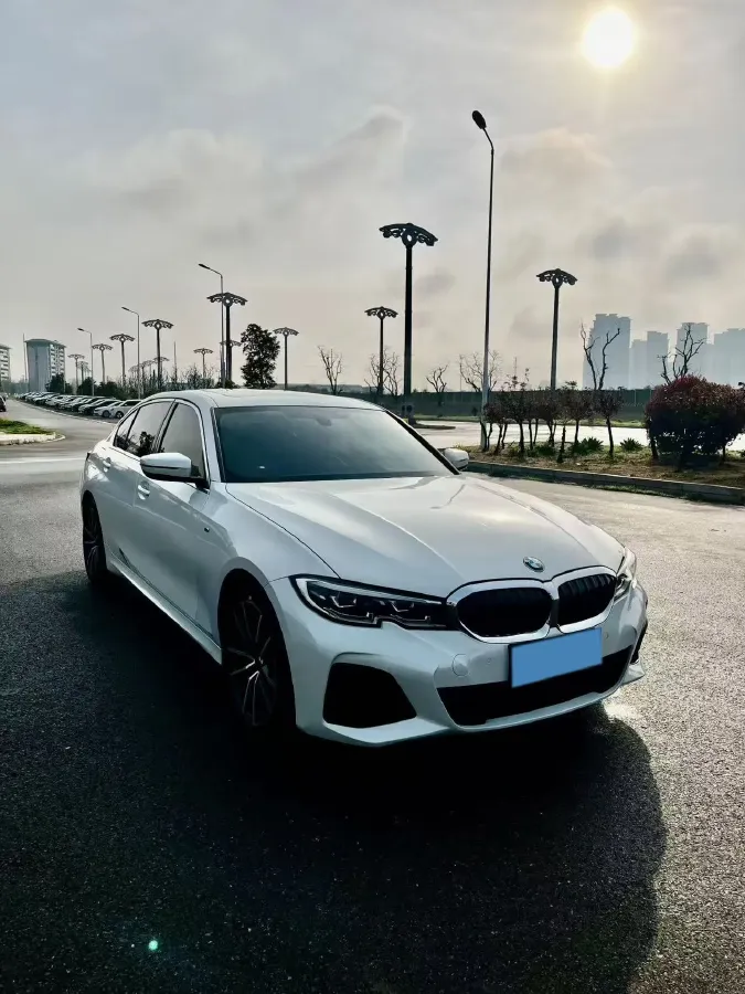 2021 BMW 3 Series 2.0T 156HP L4 8AT,autocango,china used car exporter,china ev exporter,chinese used car exporter,chinese used ev exporter