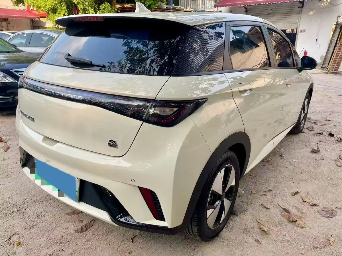 2023 BYD Dolphin BEV 44.928KWH,autocango,china used car exporter,china ev exporter,chinese used car exporter,chinese used ev exporter