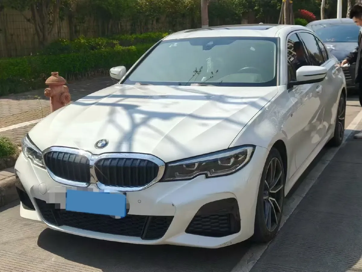 2020 BMW 3 Series 2.0T 184HP L4 8AT,autocango,china used car exporter,china ev exporter,chinese used car exporter,chinese used ev exporter