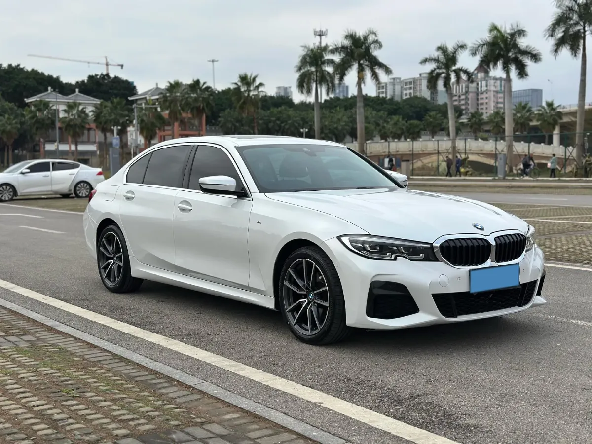 2021 BMW 3 Series 2.0T 184HP L4 8AT,autocango,china used car exporter,china ev exporter,chinese used car exporter,chinese used ev exporter