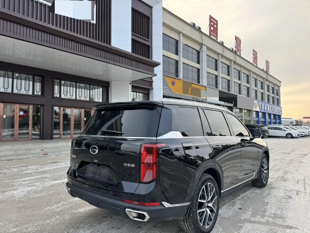 2024 GAC Trumpchi GS8 2.0T 252HP L4 8AT,autocango,china used car exporter,china ev exporter,chinese used car exporter,chinese used ev exporter
