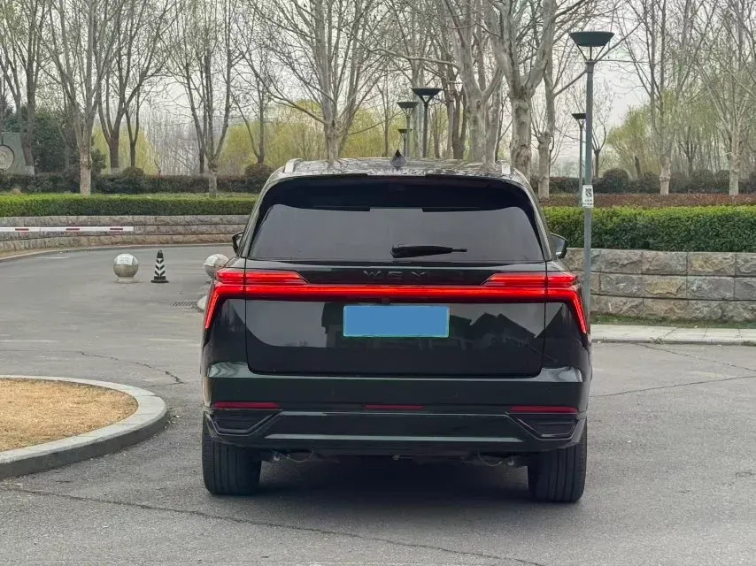 2025 WEY BlueMountain 1.5T 170HP L4 4DHT PHEV 44.5KWH,autocango,china used car exporter,china ev exporter,chinese used car exporter,chinese used ev exporter