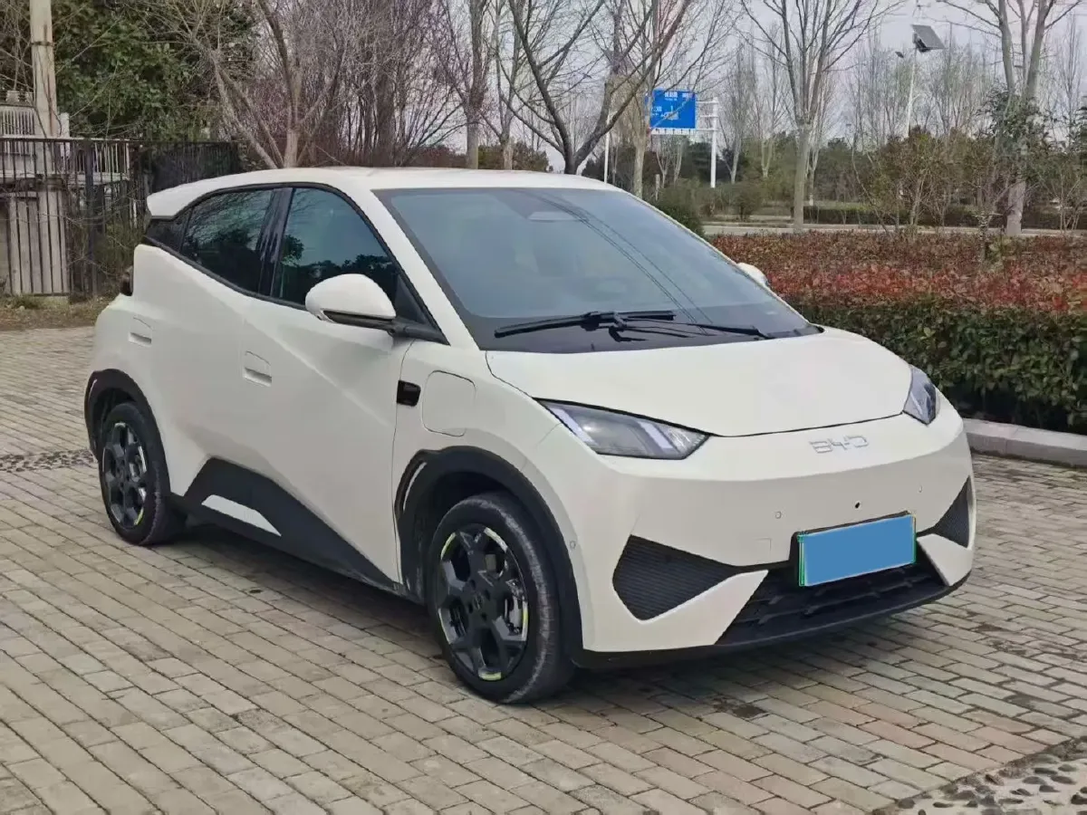 2024 BYD Seagull BEV 30.08KWH,autocango,china used car exporter,china ev exporter,chinese used car exporter,chinese used ev exporter