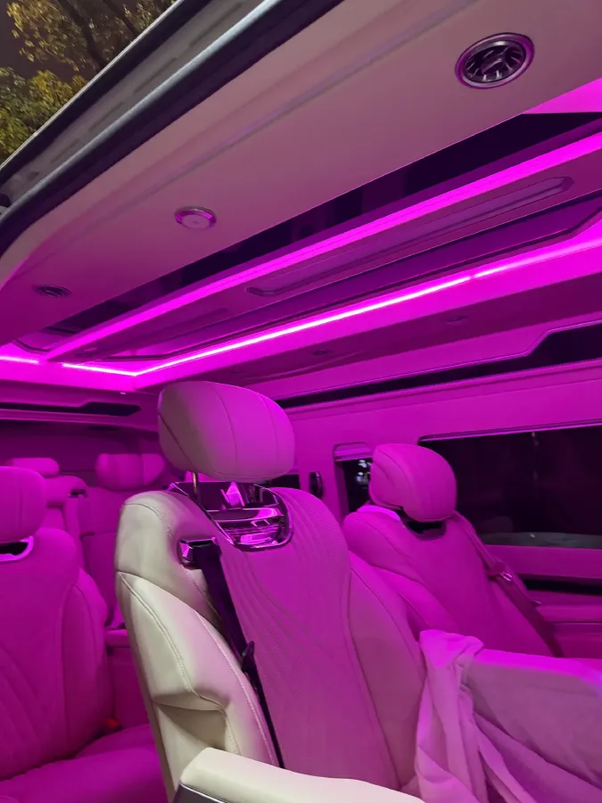 2019 Golden Dragon Sea Lion BEV 51.67KWH,autocango,china used car exporter,china ev exporter,chinese used car exporter,chinese used ev exporter