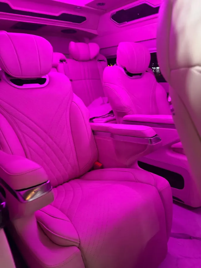 2019 Golden Dragon Sea Lion BEV 51.67KWH,autocango,china used car exporter,china ev exporter,chinese used car exporter,chinese used ev exporter