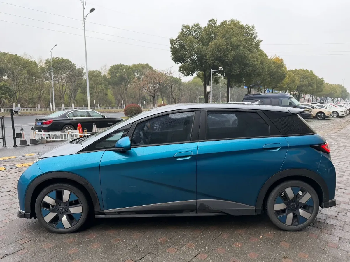 2021 BYD e2 BEV 43.2KWH,autocango,china used car exporter,china ev exporter,chinese used car exporter,chinese used ev exporter