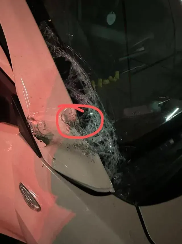 2024 WuLing HongGuang MINI EV BEV 17.3KWH,autocango,china used car exporter,china ev exporter,chinese used car exporter,chinese used ev exporter