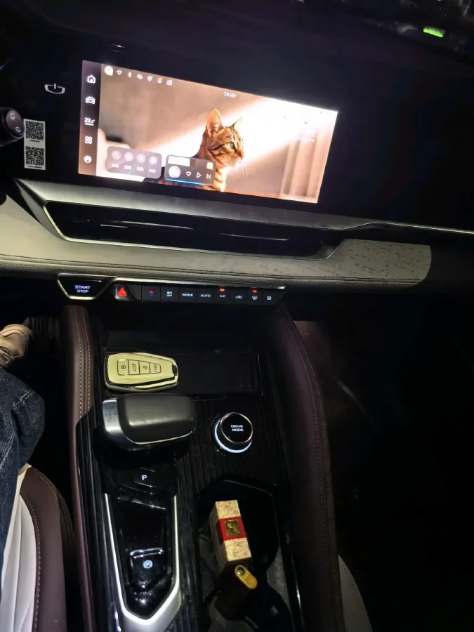 2021 Geely Monjaro 2.0T 218HP L4 7DCT,autocango,china used car exporter,china ev exporter,chinese used car exporter,chinese used ev exporter