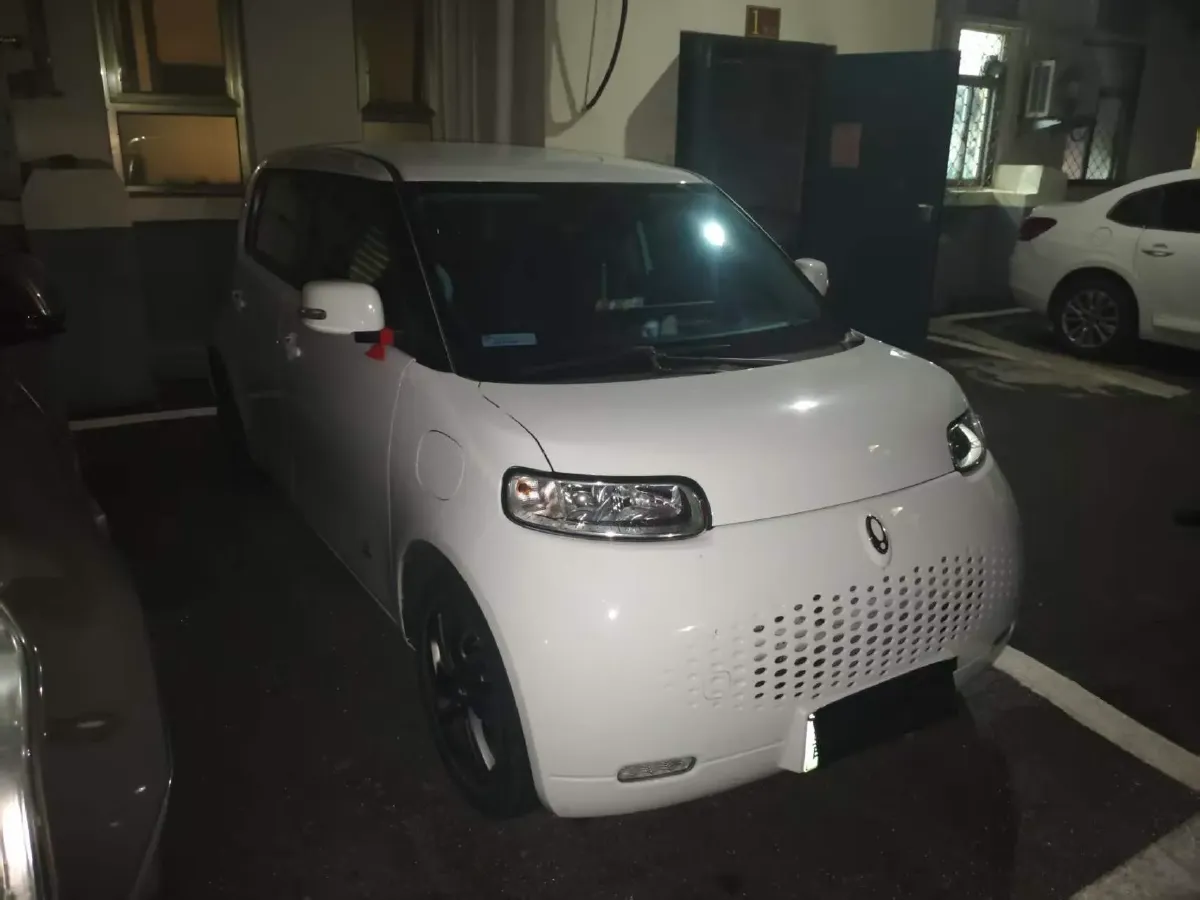 2020 Ora WhiteCat BEV 29.4KWH,autocango,china used car exporter,china ev exporter,chinese used car exporter,chinese used ev exporter