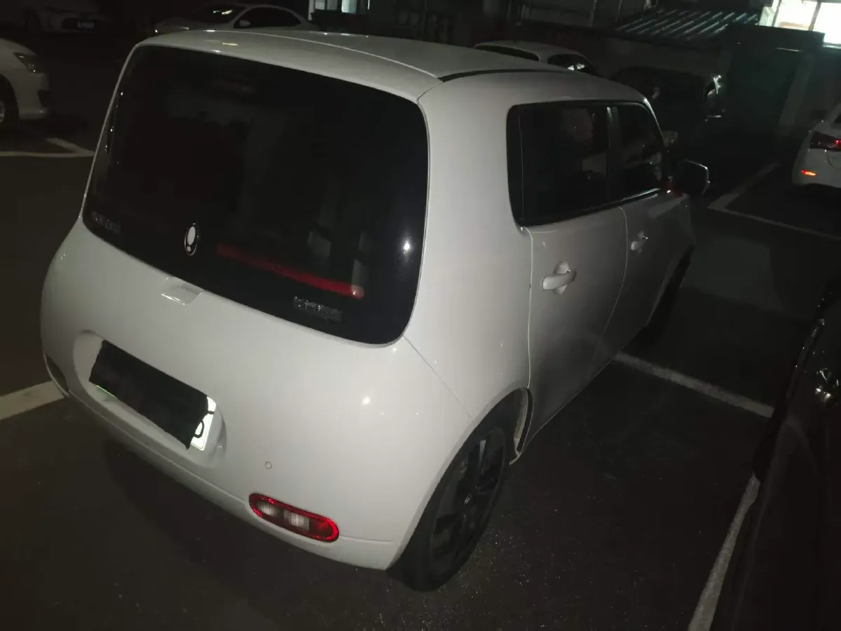 2020 Ora WhiteCat BEV 29.4KWH,autocango,china used car exporter,china ev exporter,chinese used car exporter,chinese used ev exporter