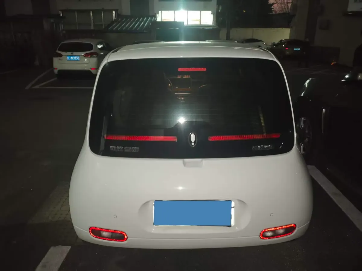 2020 Ora WhiteCat BEV 29.4KWH,autocango,china used car exporter,china ev exporter,chinese used car exporter,chinese used ev exporter