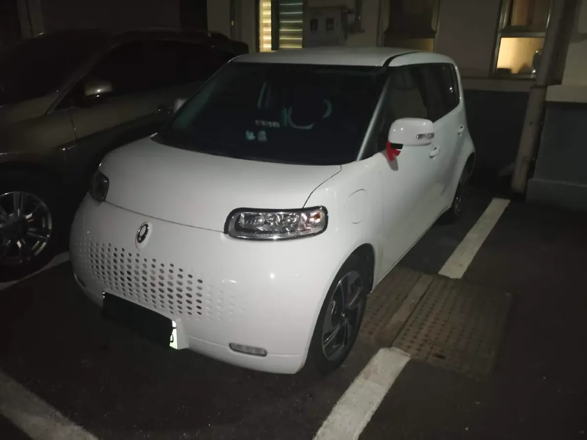 2020 Ora WhiteCat BEV 29.4KWH,autocango,china used car exporter,china ev exporter,chinese used car exporter,chinese used ev exporter