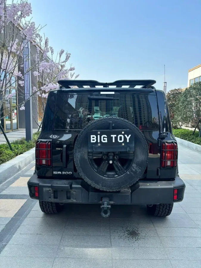 2024 Tank 300 2.0T 227HP L4 8AT,autocango,china used car exporter,china ev exporter,chinese used car exporter,chinese used ev exporter