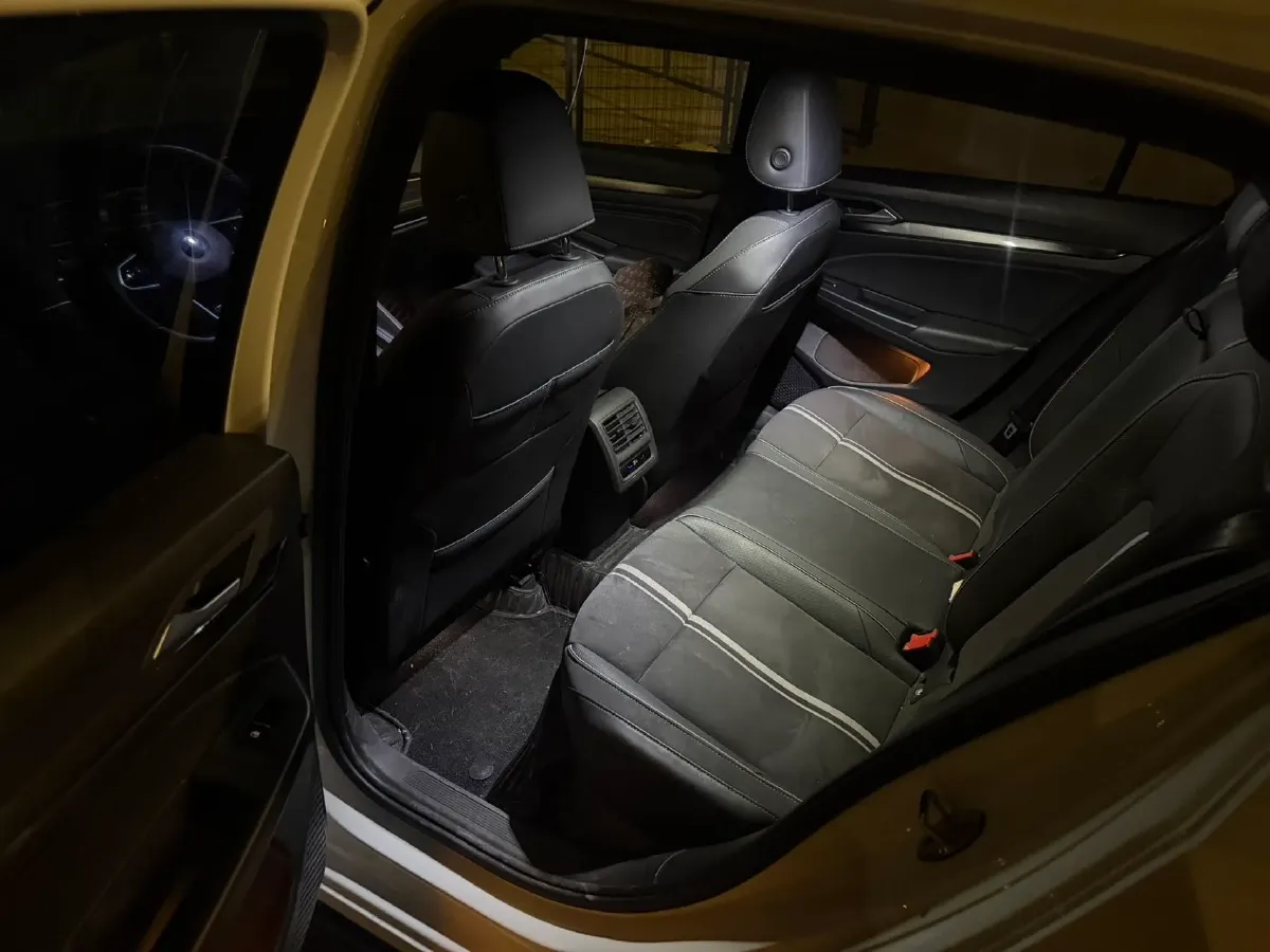 2023 Volkswagen Golf 1.4T 150HP L4 7DCT,autocango,china used car exporter,china ev exporter,chinese used car exporter,chinese used ev exporter