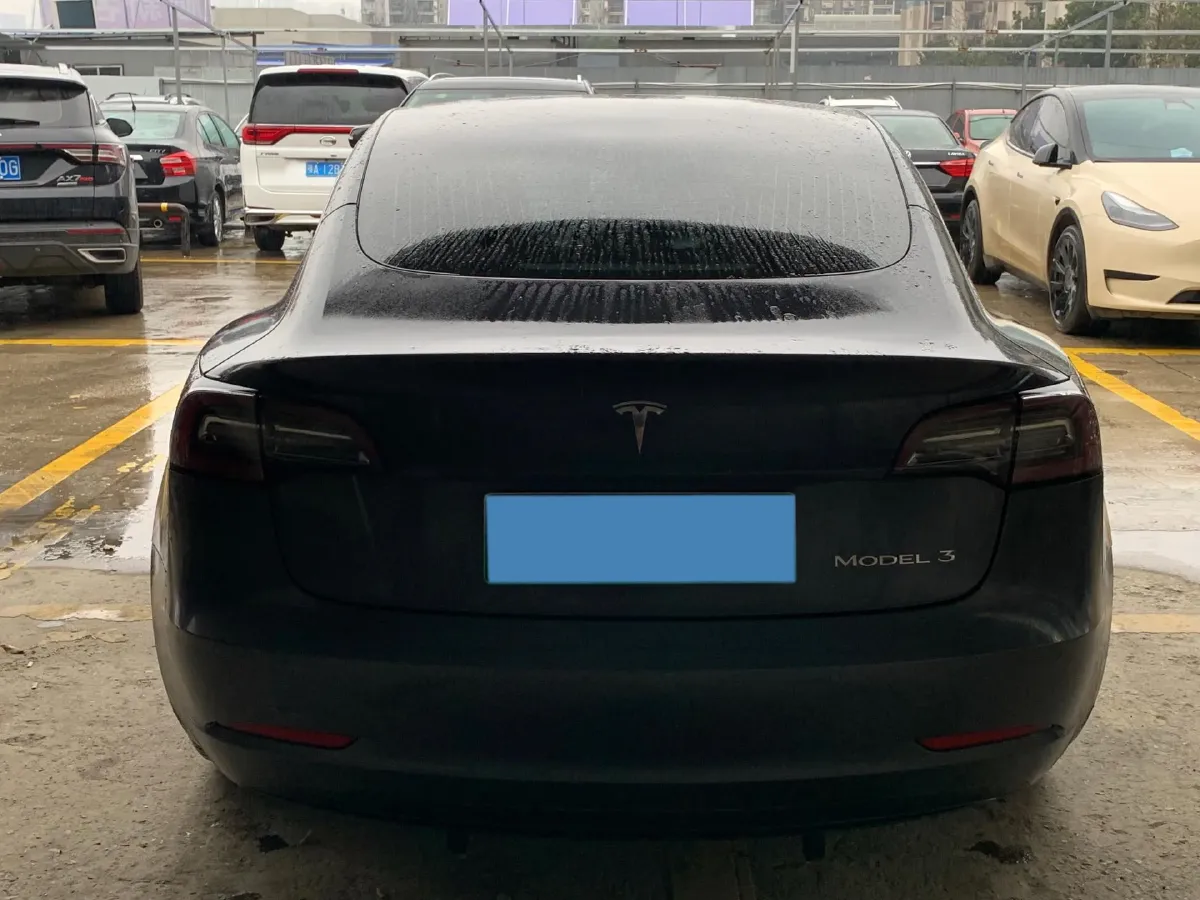 2020 Tesla Model 3 BEV 52KWH,autocango,china used car exporter,china ev exporter,chinese used car exporter,chinese used ev exporter