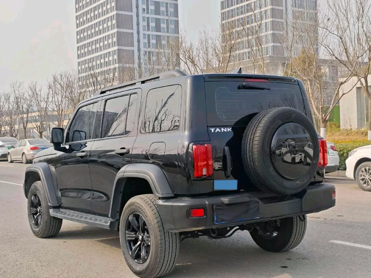 2023 Tank 300 2.0T 227HP L4 8AT,autocango,china used car exporter,china ev exporter,chinese used car exporter,chinese used ev exporter