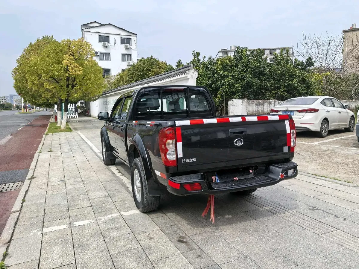 2021 Great Wall Wingle 5 2.0T 139HP L4 6MT,autocango,china used car exporter,china ev exporter,chinese used car exporter,chinese used ev exporter
