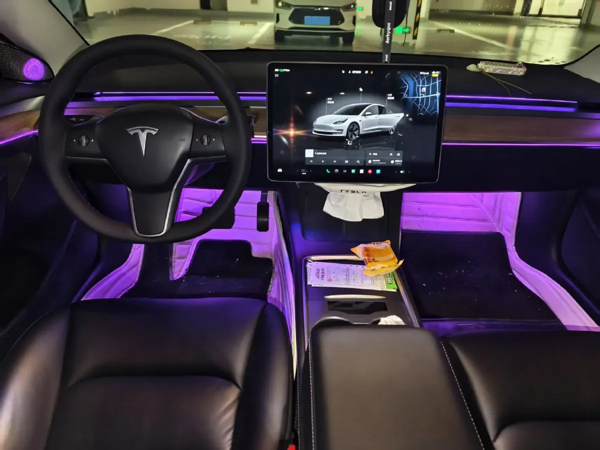 2022 Tesla Model 3 BEV 60KWH,autocango,china used car exporter,china ev exporter,chinese used car exporter,chinese used ev exporter