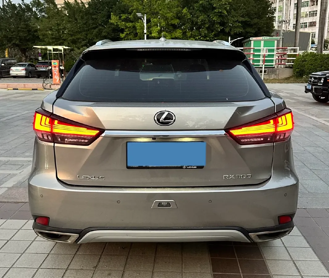 2020 Lexus RX 2.0T 231HP L4 6AT,autocango,china used car exporter,china ev exporter,chinese used car exporter,chinese used ev exporter