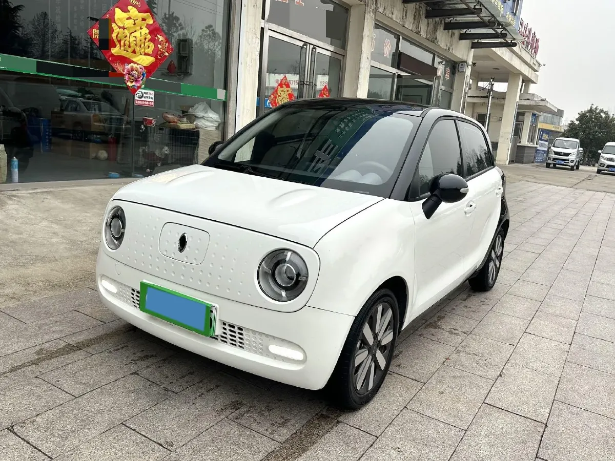 2019 Ora BlackCat BEV 33KWH,autocango,china used car exporter,china ev exporter,chinese used car exporter,chinese used ev exporter
