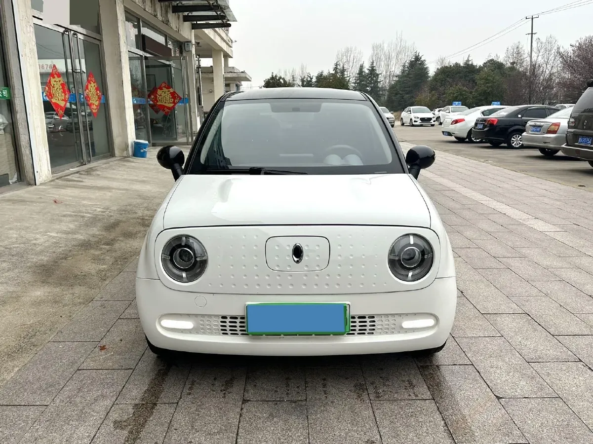 2019 Ora BlackCat BEV 33KWH,autocango,china used car exporter,china ev exporter,chinese used car exporter,chinese used ev exporter