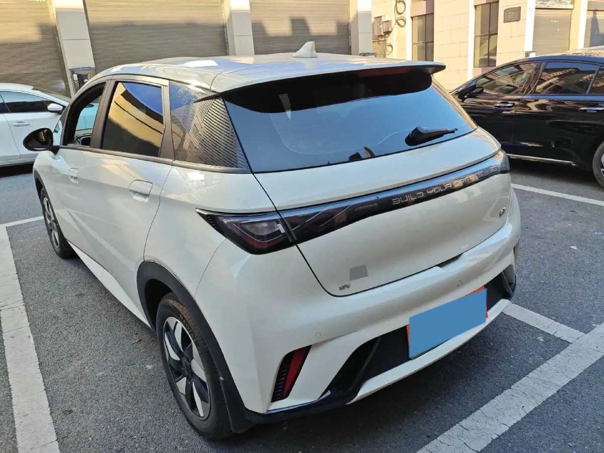 2025 BYD Dolphin BEV 44.928KWH,autocango,china used car exporter,china ev exporter,chinese used car exporter,chinese used ev exporter
