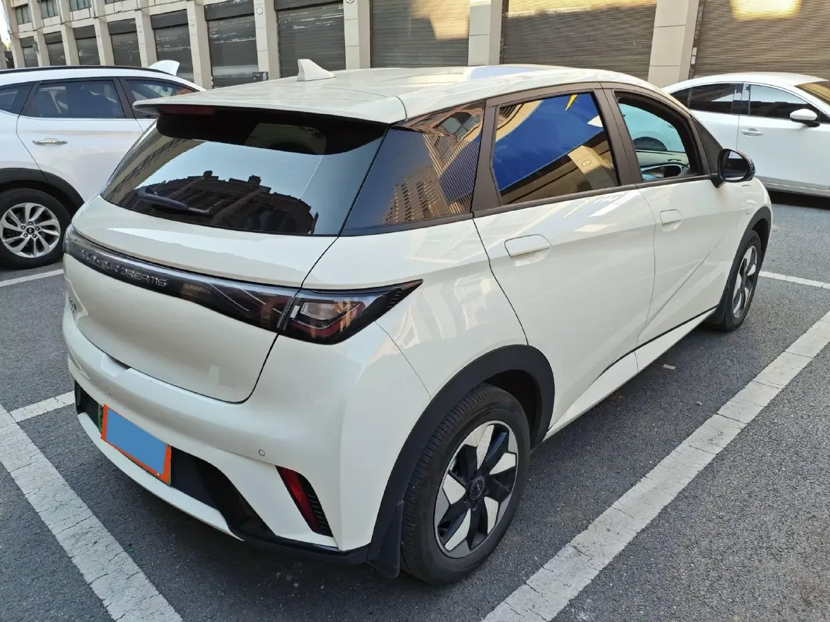 2025 BYD Dolphin BEV 44.928KWH,autocango,china used car exporter,china ev exporter,chinese used car exporter,chinese used ev exporter