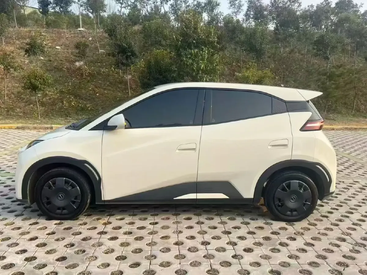 2025 BYD Seagull BEV 30.08KWH,autocango,china used car exporter,china ev exporter,chinese used car exporter,chinese used ev exporter