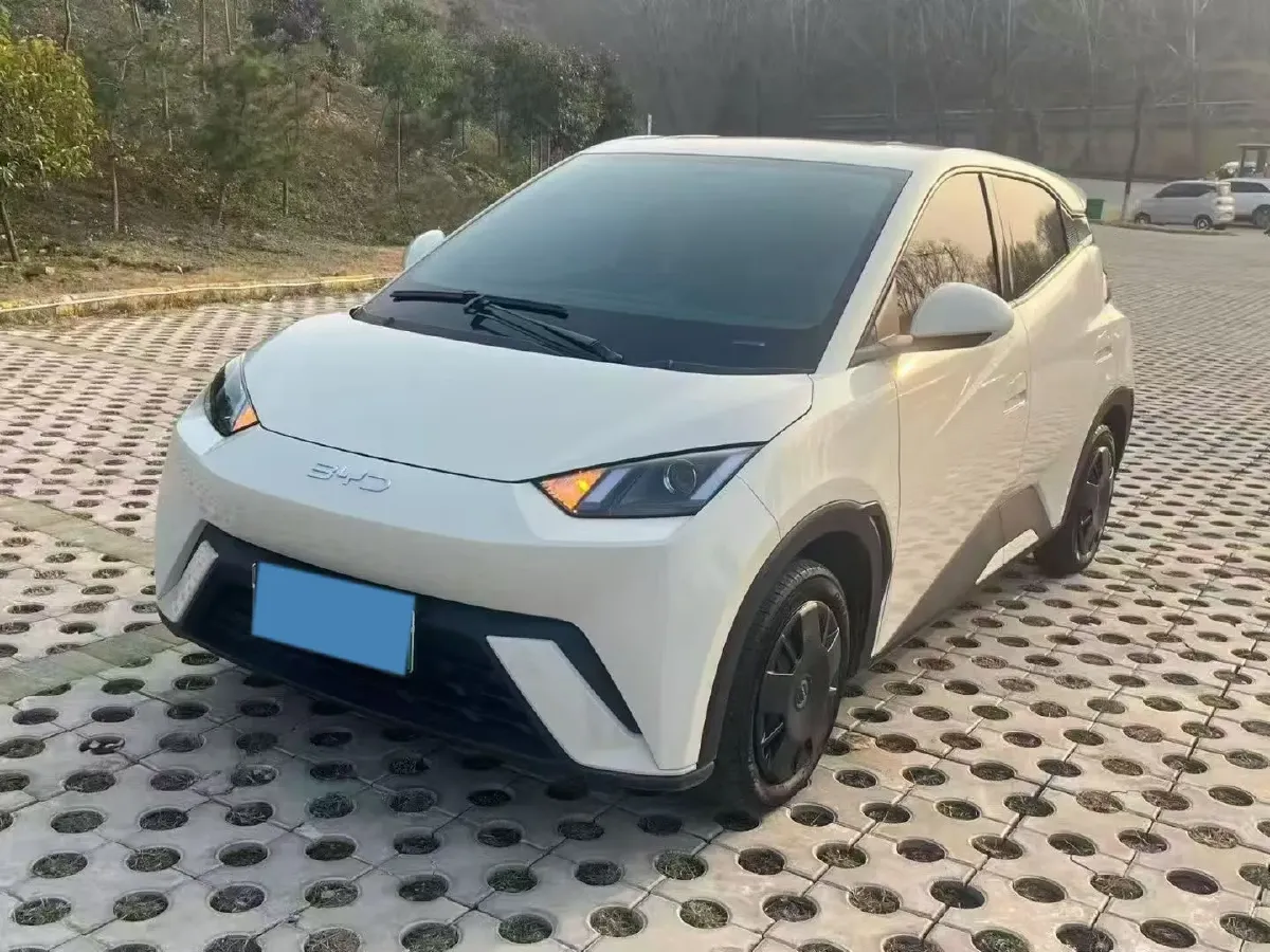 2025 BYD Seagull BEV 30.08KWH,autocango,china used car exporter,china ev exporter,chinese used car exporter,chinese used ev exporter