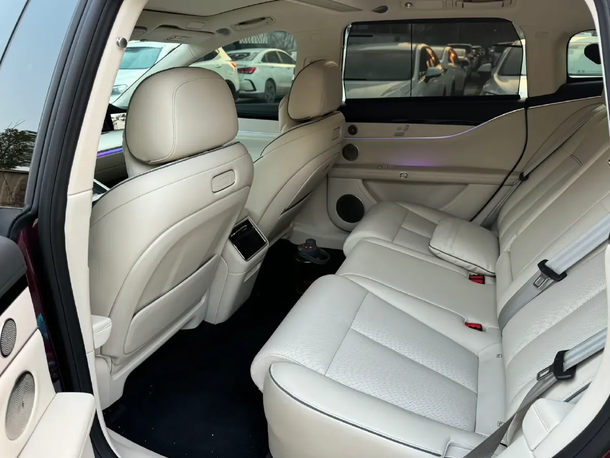 2025 HIMA Stelato S9T BEV,autocango,china used car exporter,china ev exporter,chinese used car exporter,chinese used ev exporter