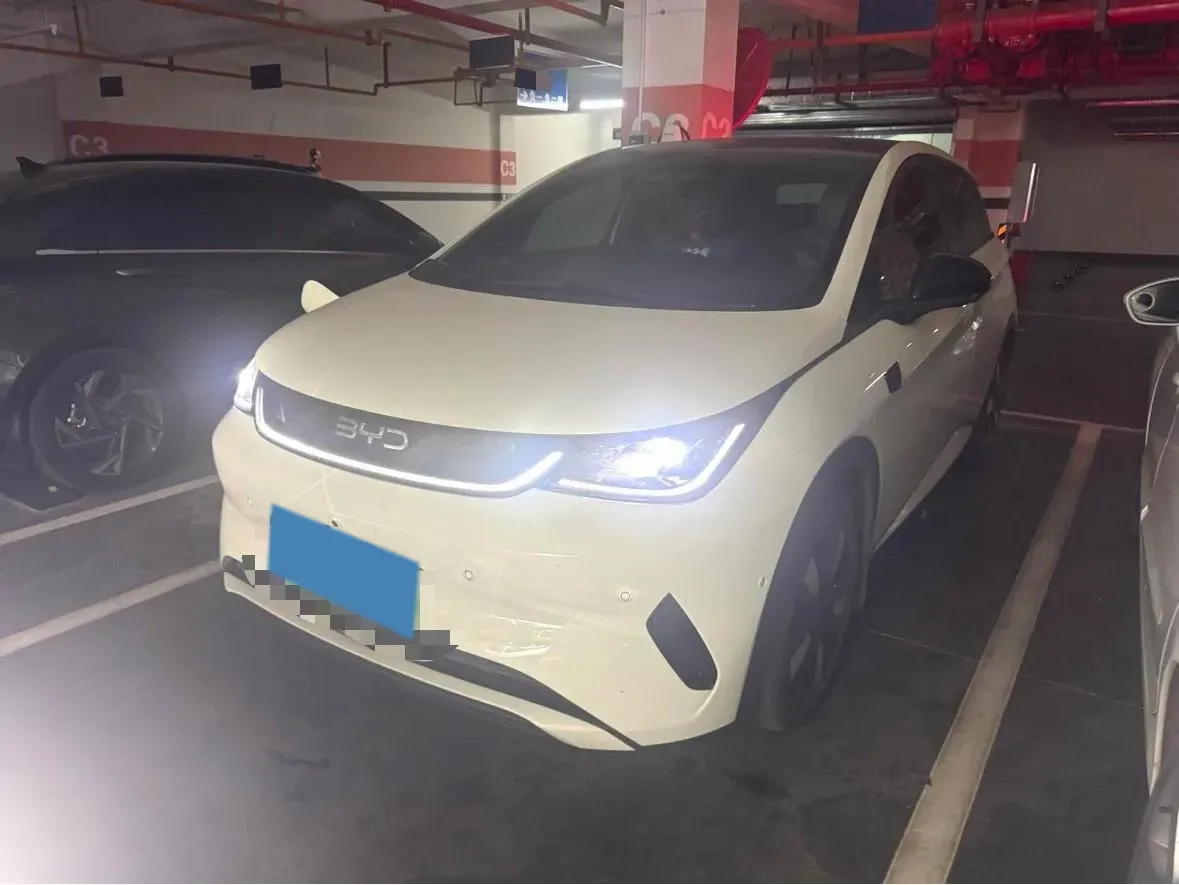 2025 BYD Dolphin BEV 45.12KWH,autocango,china used car exporter,china ev exporter,chinese used car exporter,chinese used ev exporter