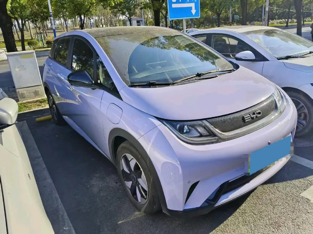 2025 BYD Dolphin BEV 44.928KWH,autocango,china used car exporter,china ev exporter,chinese used car exporter,chinese used ev exporter