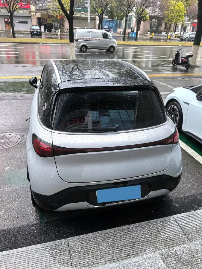 2024 Smart smart Elf 1 BEV 49KWH,autocango,china used car exporter,china ev exporter,chinese used car exporter,chinese used ev exporter