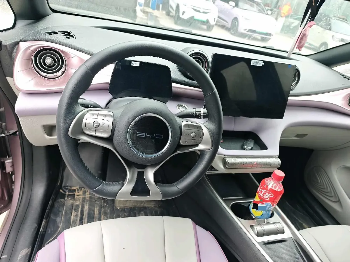 2021 BYD e2 BEV 43.2KWH,autocango,china used car exporter,china ev exporter,chinese used car exporter,chinese used ev exporter