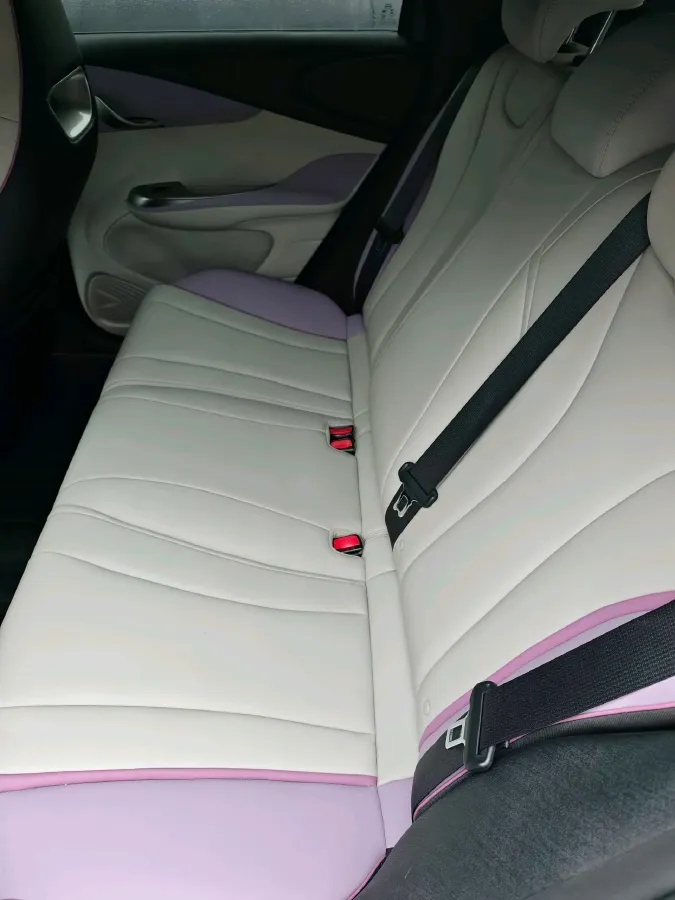 2021 BYD e2 BEV 43.2KWH,autocango,china used car exporter,china ev exporter,chinese used car exporter,chinese used ev exporter