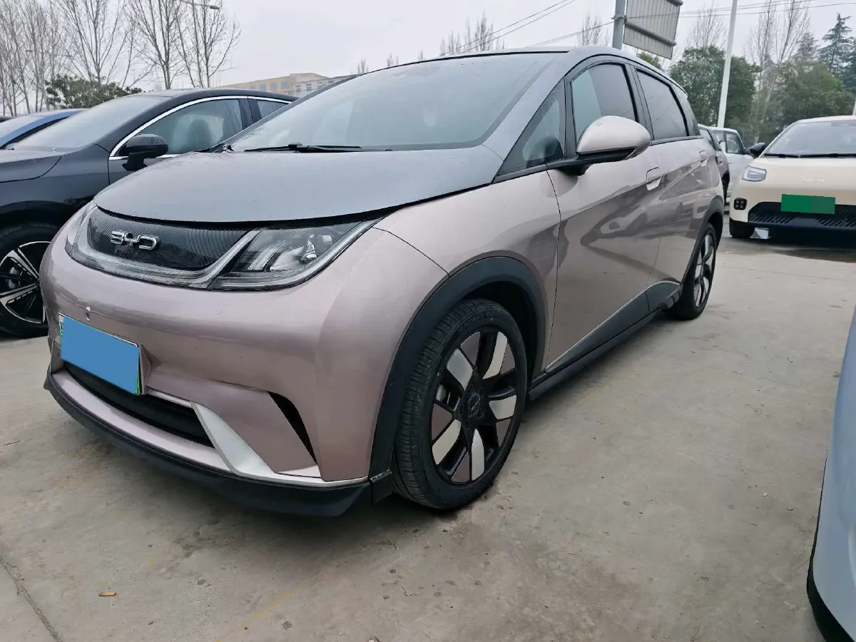 2021 BYD e2 BEV 43.2KWH,autocango,china used car exporter,china ev exporter,chinese used car exporter,chinese used ev exporter