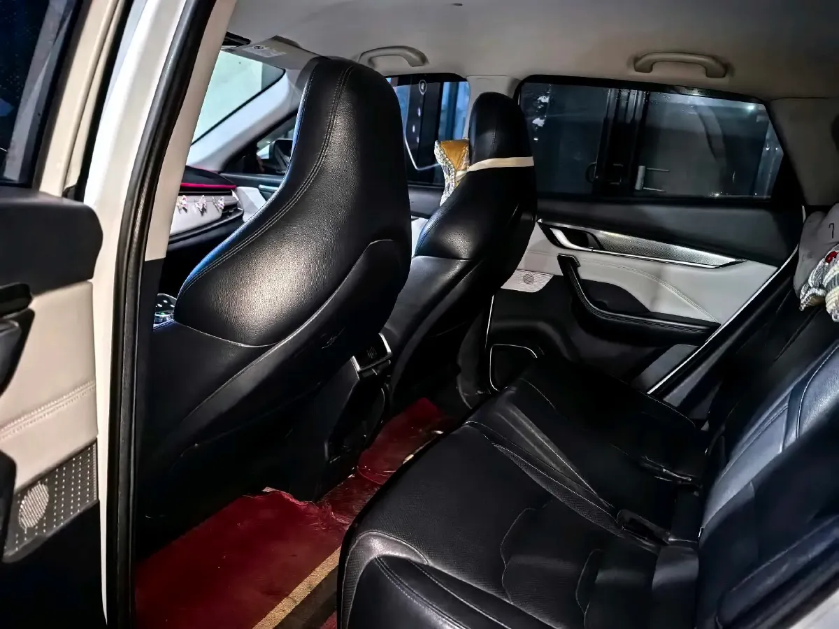 2020 Weltmeister EX5 BEV 52.56KWH,autocango,china used car exporter,china ev exporter,chinese used car exporter,chinese used ev exporter