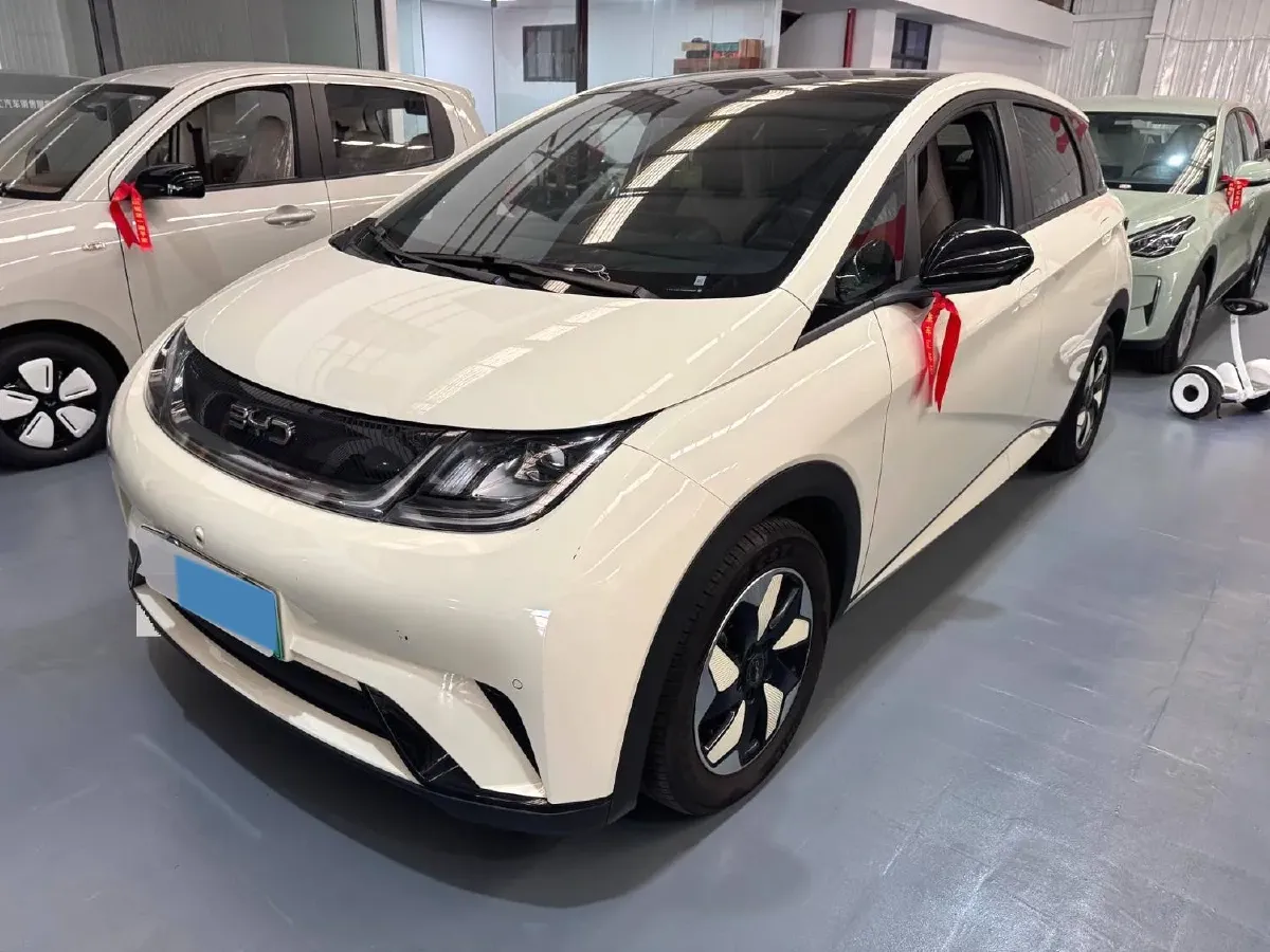 2024 BYD Dolphin BEV 44.928KWH,autocango,china used car exporter,china ev exporter,chinese used car exporter,chinese used ev exporter