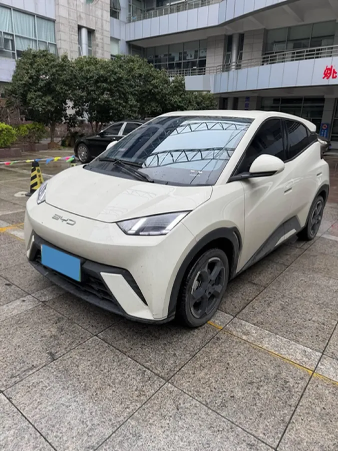 2023 BYD Seagull BEV 30.08KWH,autocango,china used car exporter,china ev exporter,chinese used car exporter,chinese used ev exporter
